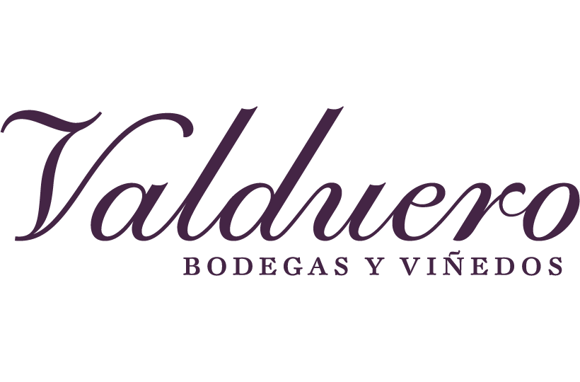 Bodegas Valduero 酒庄
