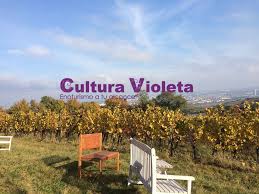 Cultura Violeta, Enoturismo a tu alcance1