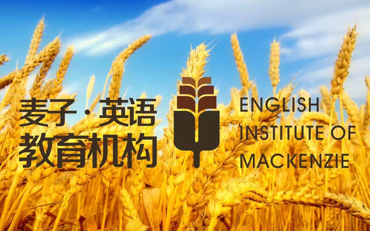 麦子英语_logo